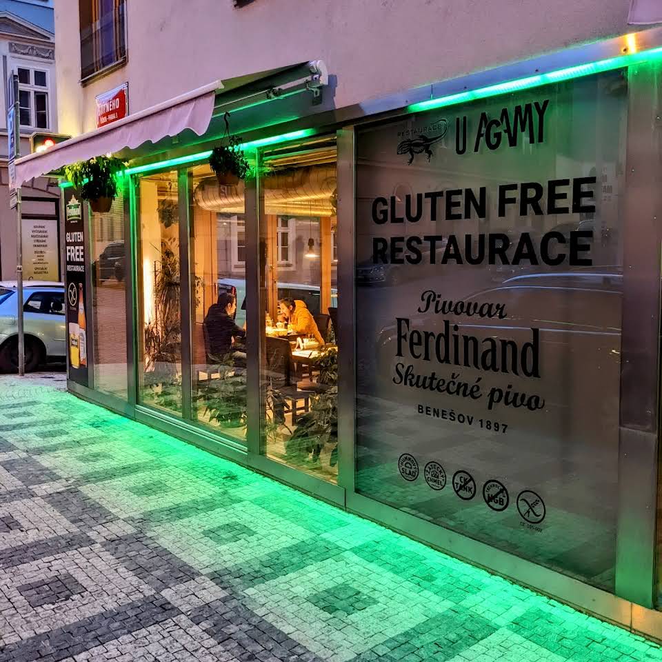 Restaurace U Agamy – Praha 3-Žižkov, Štítného